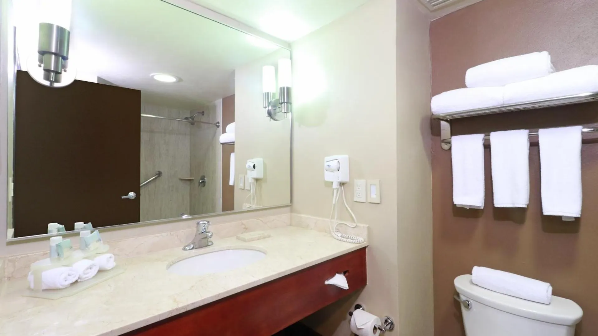 Holiday Inn Express Guadalajara Aeropuerto By Ihg Las Pintas